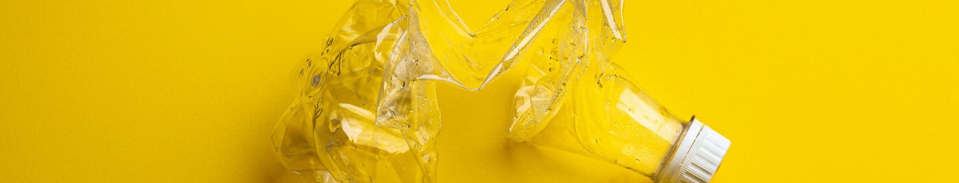pexels-stasknop-3457243 pexels-stasknop-3457243
