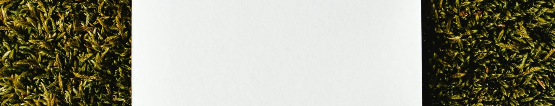 pexels-eva-bronzini-7964973