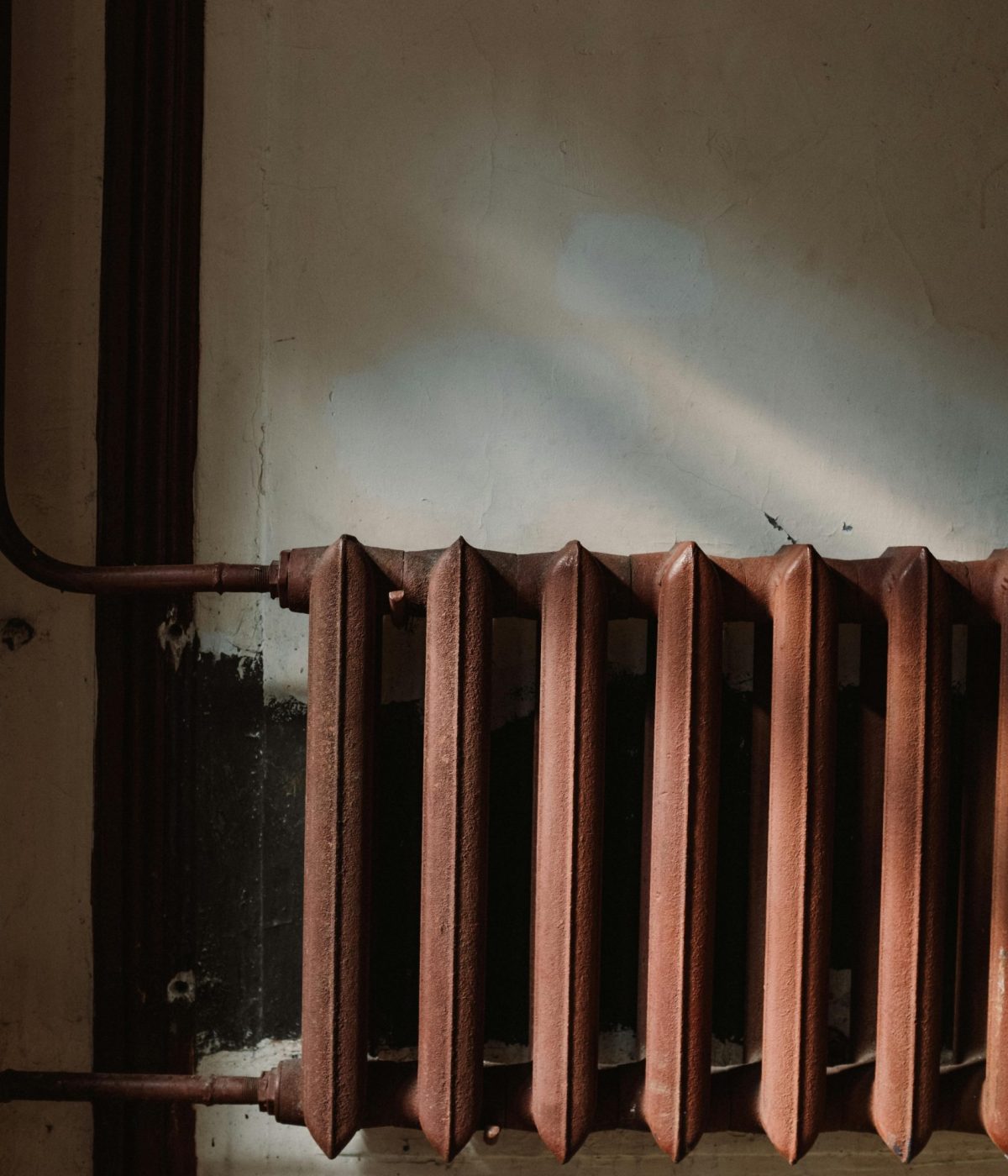 pexels-cottonbro-4752984