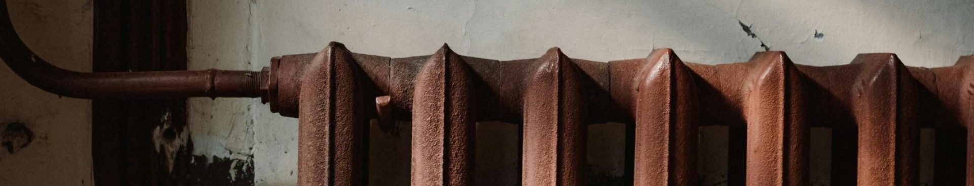 pexels-cottonbro-4752984