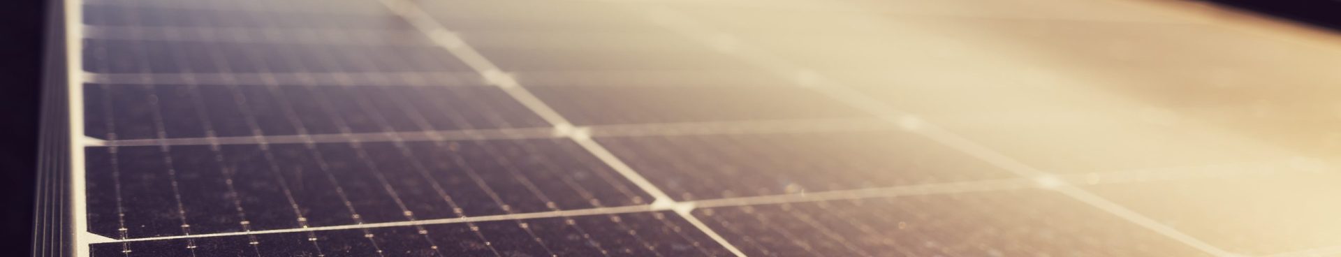 pexels-michael-pointner-18306343